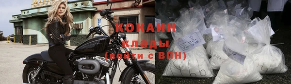 ПСИЛОЦИБИНОВЫЕ ГРИБЫ Карталы
