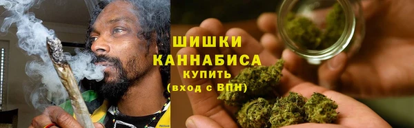 СК Касимов