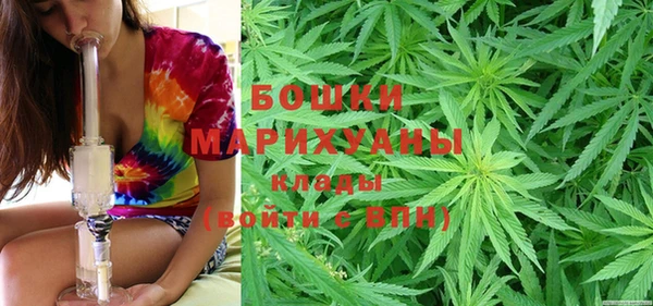 ПСИЛОЦИБИНОВЫЕ ГРИБЫ Карталы