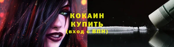 стафф Каменка