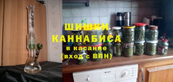 стафф Каменка