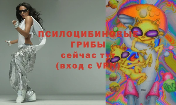 СК Касимов