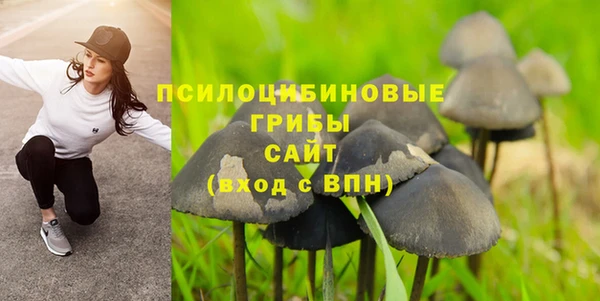 ПСИЛОЦИБИНОВЫЕ ГРИБЫ Карталы
