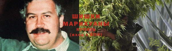 ПСИЛОЦИБИНОВЫЕ ГРИБЫ Карталы
