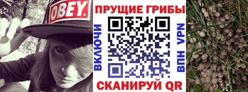 Купить закладки  Белорецк  Галлюциногенные грибы прущие грибы 